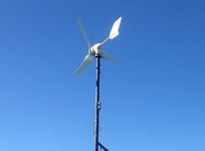 Çin 3 Blades Rüzgar Türbini 300 W Küçük Güç Rüzgar Jeneratörü Sokak Sokak Işık İçin Yüksek Verimli Düşük Rüzgar Başlangıç şirket